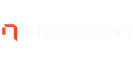Netpoleon logo